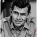 sherifftaylor's Avatar