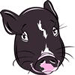 tivasmom's Avatar