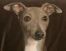 Interest401's Avatar