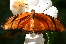 tlspencer's Avatar