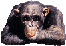 Xyth's Avatar