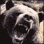 angryPapaBear's Avatar