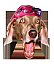 Xtoss's Avatar
