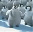 coolguy5481's Avatar