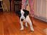 kimnicho's Avatar