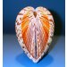ShellCollector's Avatar