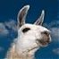 lamah's Avatar