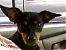 RUBY"S MAMA's Avatar