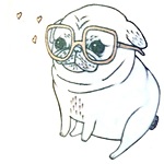 Daisypug's Avatar