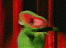 superwizard476's Avatar