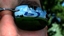 RScottyL's Avatar