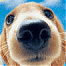 smrtshppr42's Avatar