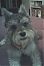 shnz821's Avatar