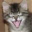 awshucks's Avatar