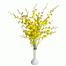 shoppin4fun's Avatar
