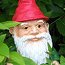 jradosh's Avatar