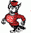 NCSUFire's Avatar