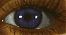 PizzaNite's Avatar