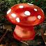 MagicMushrooms's Avatar