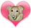 wiles's Avatar