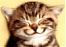 Corrine524's Avatar