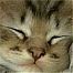 ctownprincess's Avatar