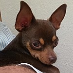 maltboy's Avatar