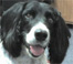wnharris's Avatar
