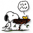 Start A New's Avatar