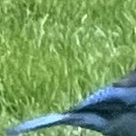 jbrowns22's Avatar