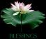 ShowMeTheDealz's Avatar