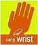 carpwrist's Avatar