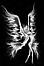 josephinehbs's Avatar