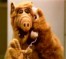 Alfy's Avatar