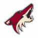 Coyotezeye's Avatar