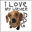 MimiDog's Avatar