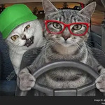 ETP's Avatar