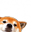 number2pencil's Avatar