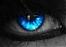 DBird_MTS's Avatar