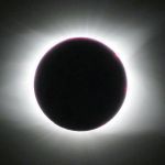 SlickDealio's Avatar