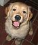 turboterp's Avatar
