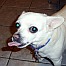Coquito's Avatar