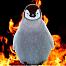 volatilepenguin's Avatar