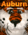cop's Avatar