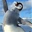 penguincatcher's Avatar