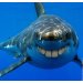 TeamSharkie's Avatar