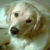 Parker421's Avatar