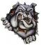 sdaddy's Avatar
