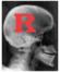 rotorocker's Avatar