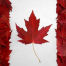 Canadian Bacon's Avatar